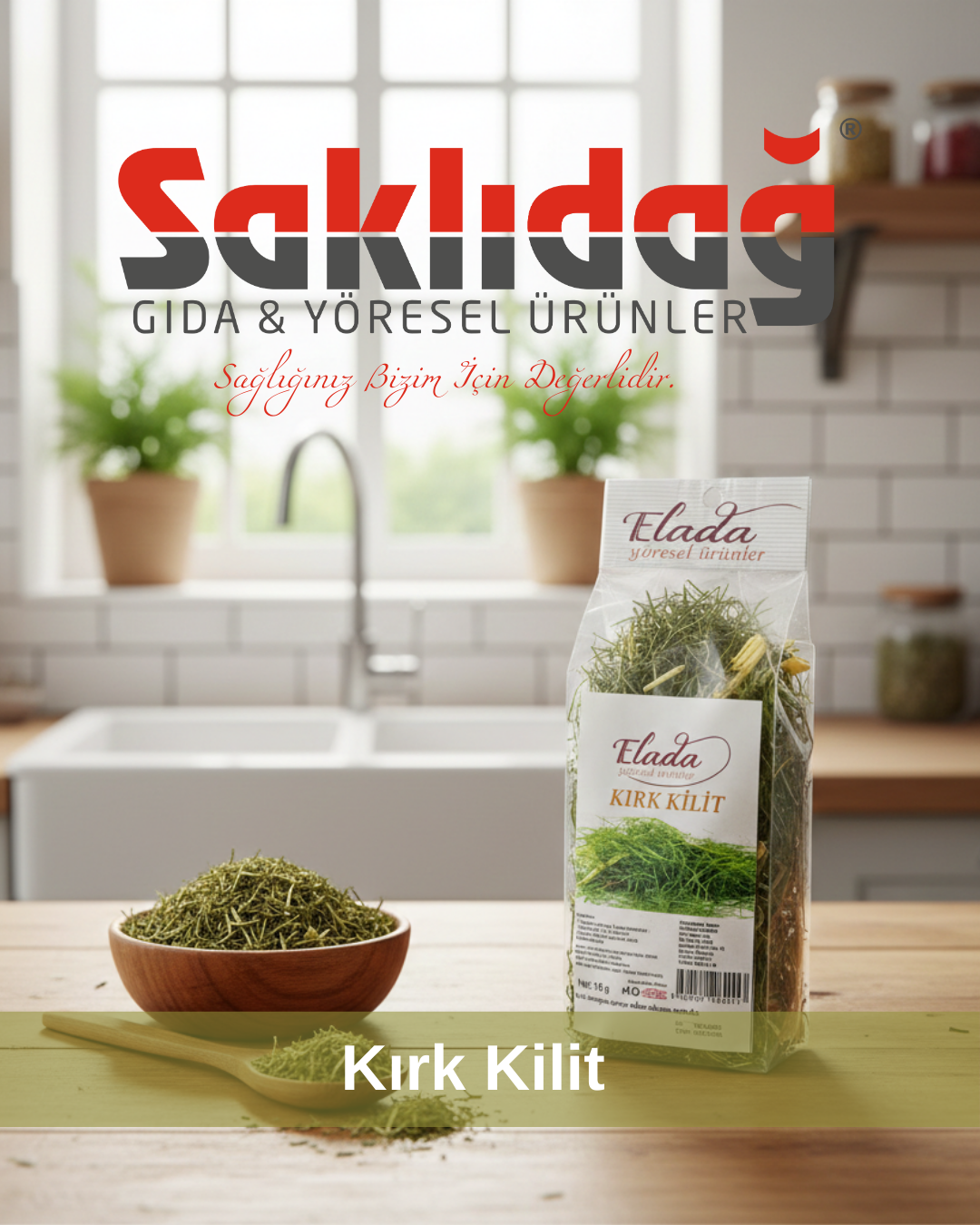 Doğanın Çelik Desteği: Saklıdağ Kırk Kilit Otu ile Tanışın